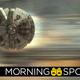 Image for article titled Thandie Newton's Han Solo Role Just Got Even More Mysterious